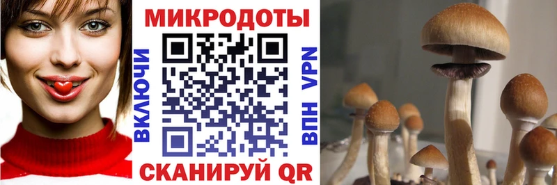 хочу наркоту  Тобольск  МЕГА зеркало  Галлюциногенные грибы MAGIC MUSHROOMS 